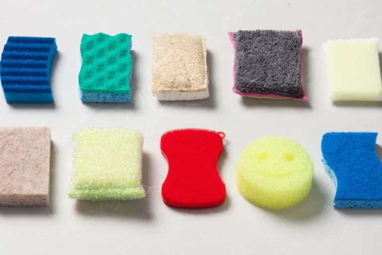 Best Sponges