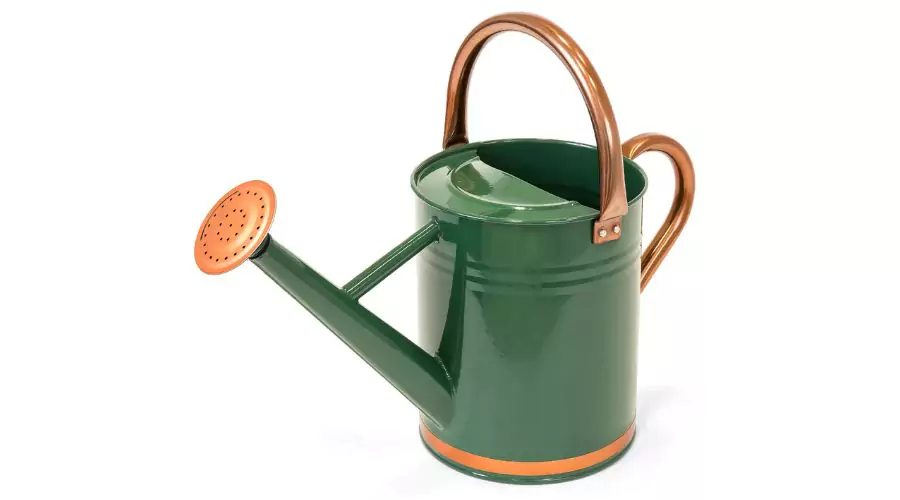 1-Gallon Galvanized Steel Watering Can 