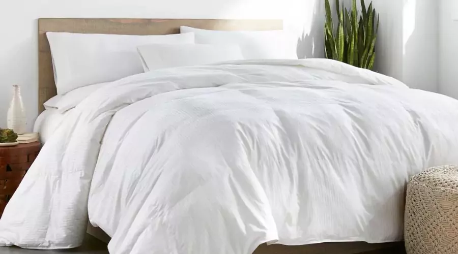 10“ by 10“ World's Largest King Comforter 