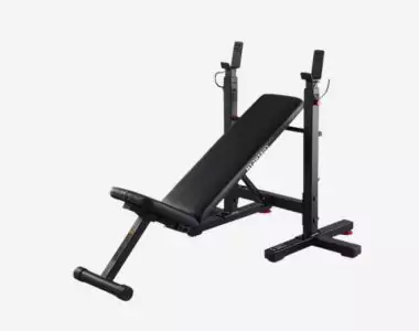 Tiltable Weights Bench with Collapsible Pegs - Bench Press Fold