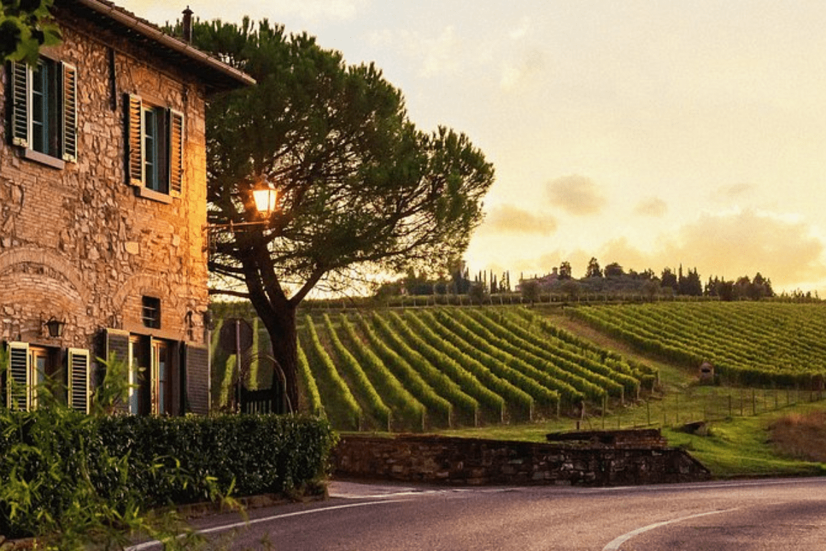 1 2026 01 20T150544.536