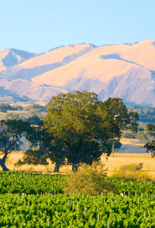 2 2026 01 20T151351.774