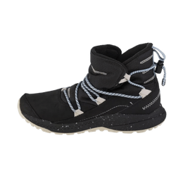 Untitled 260 x 250 px 7