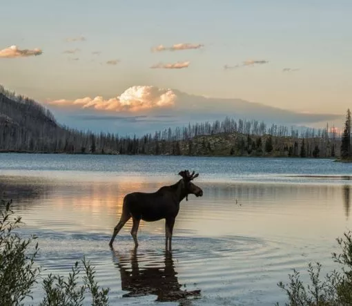 high demand destinations