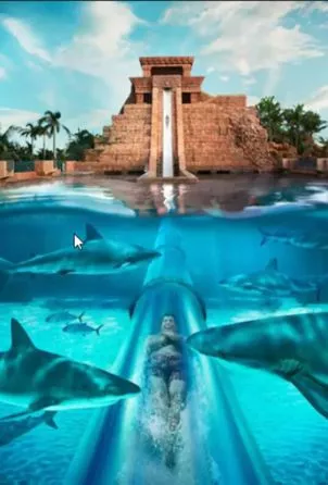 high demand destinations