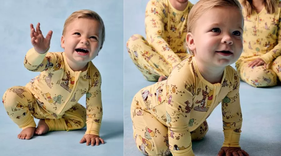 Disney Playtime with Pooh Zippy