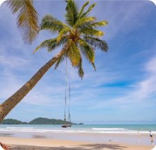 Screenshot 2026 02 03 114709