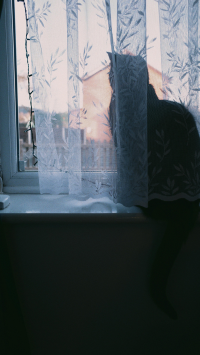 Untitled design 2026 02 03T151311.638