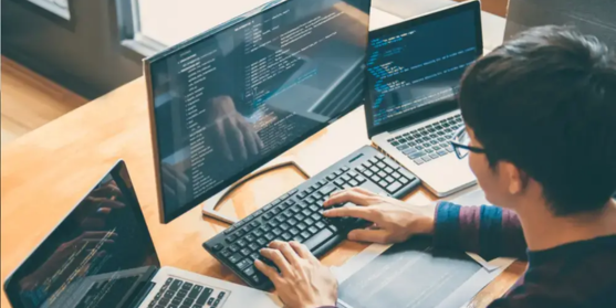 The Web Developer Bootcamp 2026 2