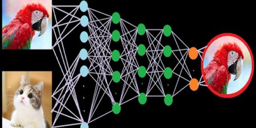 Una inmersion profunda en el oceano del aprendizaje profundo con PyTorch y TensorFlow