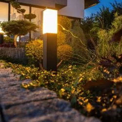 Best Outdoor Security Lights | Feednexus