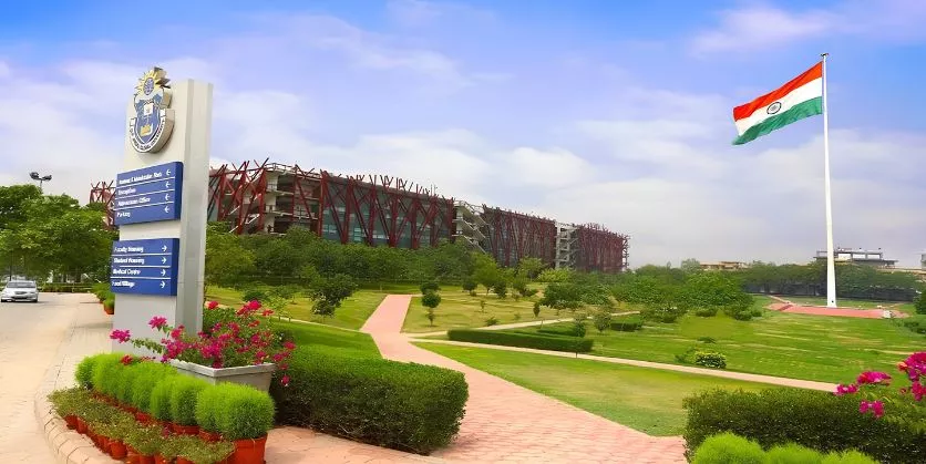 executive MBA programs | Feednexus