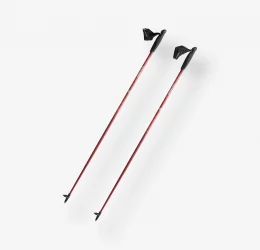 nw-p500-nordic-walking-pole-burg